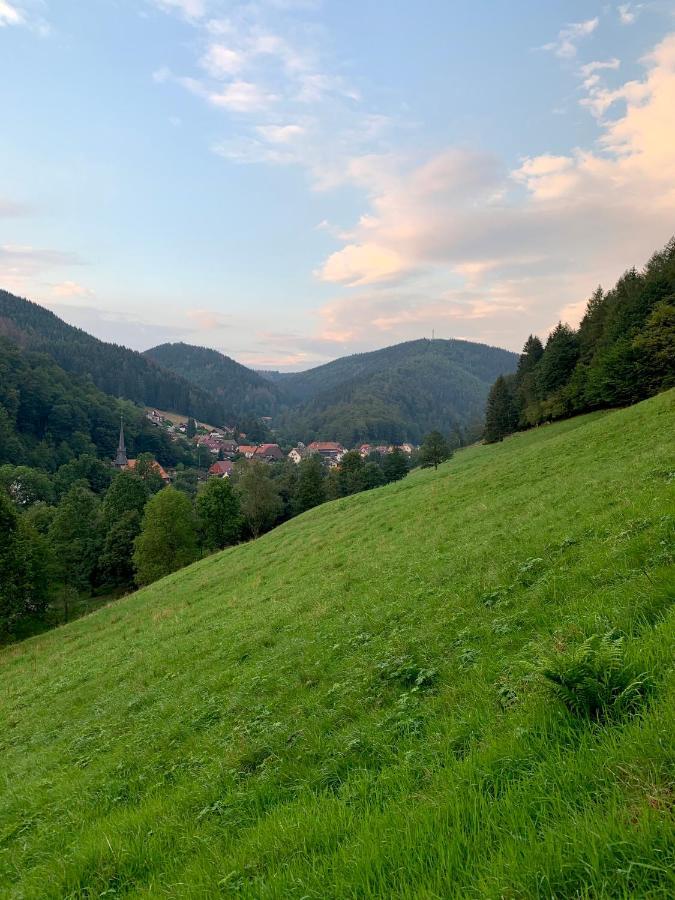 Gemuetliches Apartment Mit Kamin Und Wohnkueche Herzberg am Harz Ngoại thất bức ảnh